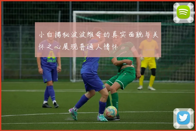小白揭秘波波维奇的真实面貌与关怀之心展现普通人情怀